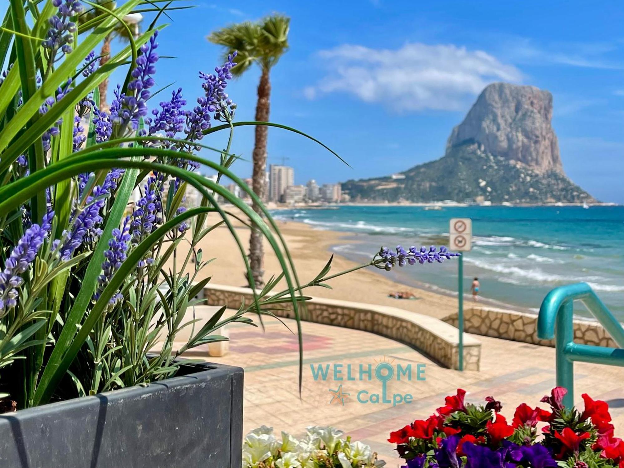 Manzana Bonito Y Comodo Apartamento Con Piscina Calp Dış mekan fotoğraf